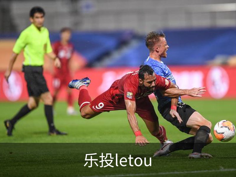 乐投letou概况